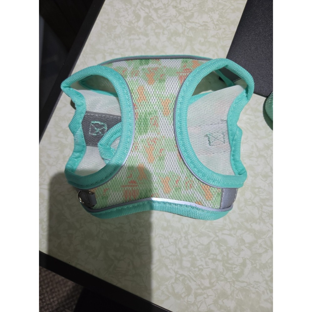 X-Small Sea Green W/ Design Dog Harness W/leash - Picture 2 of 3